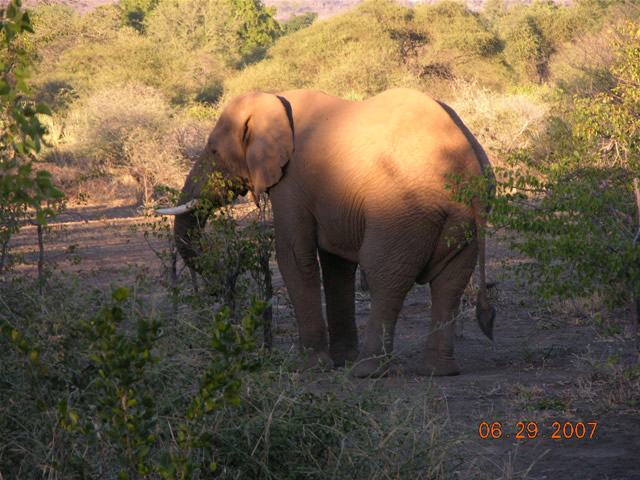 Africa photo5